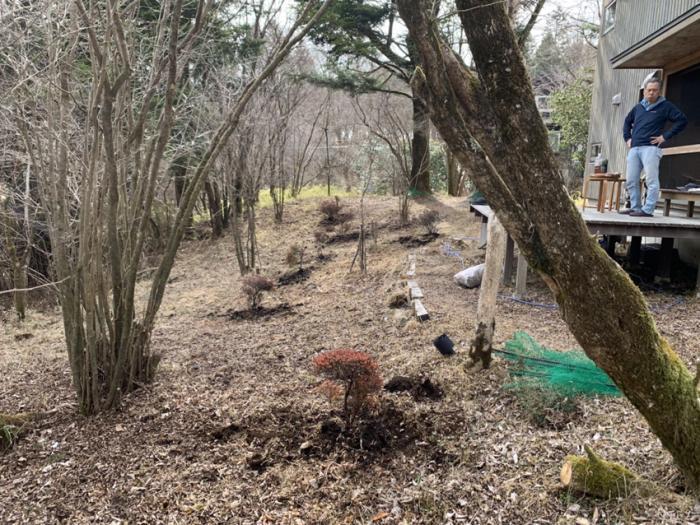 南側への植付