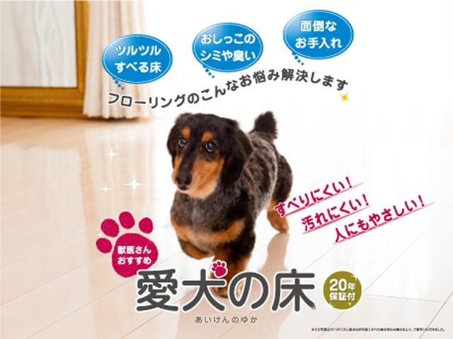 愛犬の床